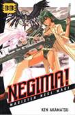 Negima! 33 Volume 33