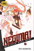 Negima! 36 Volume 36