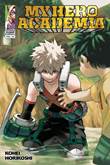 My Hero Academia 29 Volume 29