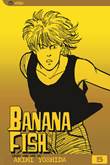 Banana Fish 5 Volume 5