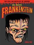 Chilling Archives of Horror Comics! the Dick Briefer's Frankenstein