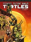 Teenage Mutant Ninja Turtles (DDB) 3 Oude vijanden nieuwe vijanden 1/2