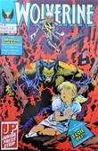 Wolverine - Juniorpress 9 In een inferno van vlammen nemen Storm en Wolverin