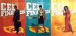 Cel Financiën 1-3 Cel Financiën - pakket