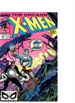 Uncanny X-Men, The 248 The Uncanny X-Men 248