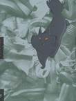 Claire Wendling Drawers