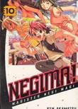 Negima! 10 Volume 10