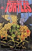 Teenage Mutant Ninja Turtles (1996-1999) 12 #12
