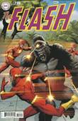 Flash, the (2020) 750 Issue 750