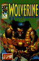 Wolverine - Juniorpress 38 - Op het eerste gezicht