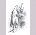 Jan Bosschaert - Collectie 1 - Spinsels - Shining Armor