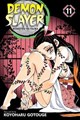 Demon Slayer: Kimetsu no Yaiba 11 - Volume 11