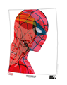 Spider-Man (DDB)  / Life Story  - Lifestory - Premiumpack