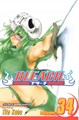 Bleach (Viz) 34 - Volume 34