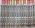 Battle Vixens 1-15 - Complete series