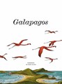 Michaël Olbrechts - Collectie  - Galapagos