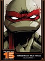 Teenage Mutant Ninja Turtles (DDB) 1-3 - Collector Pack 1 - Jubileum Editie