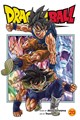 Dragon Ball Super 20 - Volume 20
