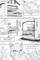 Warrior Cats (Manga) 1 - De verloren krijger