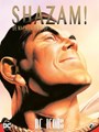DC Icons 1-6 - DC Icons - Pakket