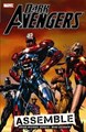 Dark Avengers 1 - Assemble