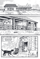Warrior Cats (Manga)  - Ravenpoots pad - Verstoorde vrede