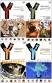 Y, the Last Man (Vertigo) 1-10 - Complete series