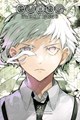 Bungo Stray Dogs 27 - Volume 27