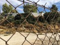 Aimée de Jongh  - De Wachtkamer van Europa - Een Bezoek aan de Vluchtelingen op Lesbos