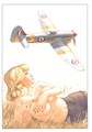 Pin-Up Wings - Edelweiss
