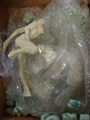 Hive Queen - Model kit