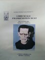 Frankenstein, Model Kit