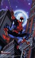 Spider-Man Large Promo Card