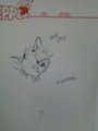 Gleever origineel