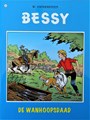 Bessy - De wanhoopsdaad - pagina 13