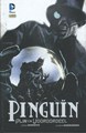 Pinguin (RW)  - Pijn en vooroordeel, Softcover (RW Uitgeverij)