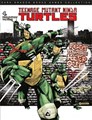 Teenage Mutant Ninja Turtles 4 - Oude vijanden nieuwe vijanden 2/2, Softcover (Dark Dragon Books)