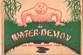 Rikki Visser 1 - De water-demon van het Alkmaarder-meer, Softcover, Eerste druk (1947) (Heldersche Courant)