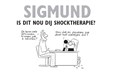Grunneger Stripreeks 3 - Sigmund: is dit nou dij shocktherapie?, Hc+prent, Eerste druk (2015) (Stripwinkel Akim)