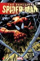 Superior Spider-Man, the 2 - The Superior Spider-Man 2, Softcover (Standaard Uitgeverij)