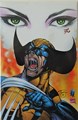 Wolverine/Shi 1 - Dark night of judgement, Softcover (Marvel)