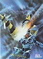 Galactic Encounters 2 - Star Quest, Hc+Stofomslag (Intercontinental Book Productions)