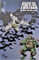 Teenage Mutant Ninja Turtles (1996-1999) 9 - #9, Issue (Image Comics)