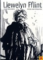 Peter van Straaten - Collectie 1 - Llewelyn Fflint, Softcover (Stripstift)