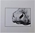 Joost Veerkamp  - De os op de klokketoren, Hc+Stofomslag, Eerste druk (1982) (Arbeiderspers, de)