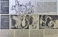 Bommel en Tom Poes - Krantenuitgaves 171 - Heer Bommel en de Antiloog, Krantenknipsel, Eerste druk (1982) (Nieuwsblad van het Noorden)