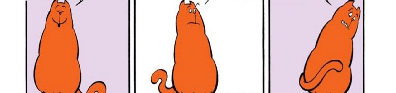 De "je weet wel" kater