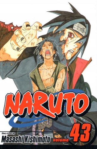 Naruto (Viz) 43 - Volume 43