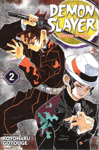 Demon Slayer: Kimetsu no Yaiba 2 - Volume 2