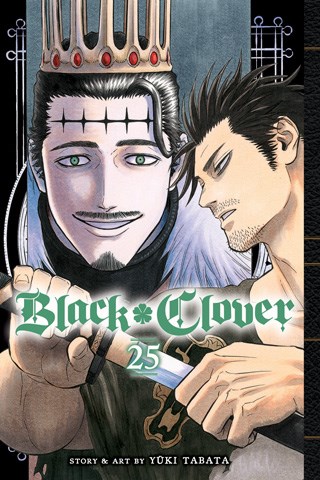 Black Clover 25 - Volume 25